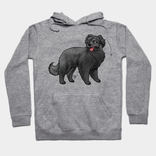 Dog - Pyrenean Shepherd - Black Hoodie